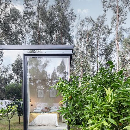 Villa No Jardim Dos Aromas Gião Dış mekan fotoğraf